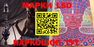 прущие грибы Краснознаменск