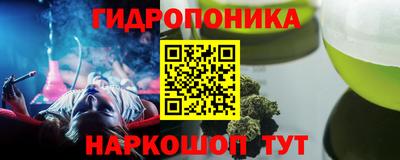 прущие грибы Краснознаменск