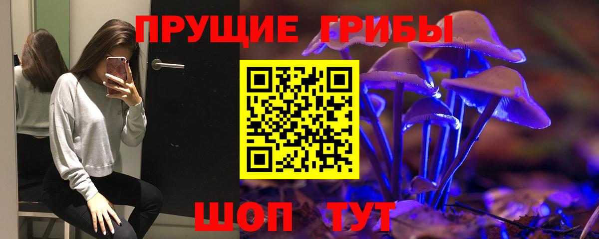 Галлюциногенные грибы Magic Shrooms  Галлюциногенные грибы Cubensis  Качканар  Вход с VPN 