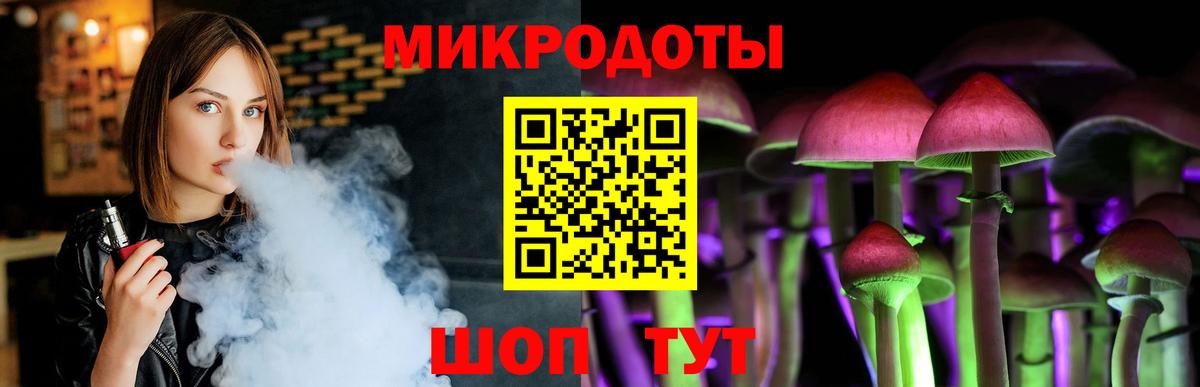 Псилоцибиновые грибы Psilocybe Качканар